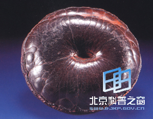 似植物种子的赤铁矿(图)