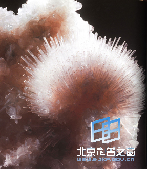 似冰晶的针沸石矿物(图)