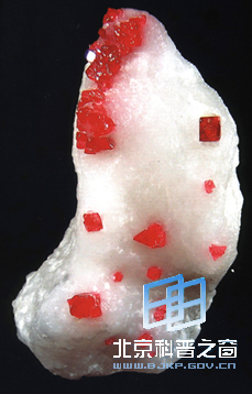 冰山与火焰两重天(图)