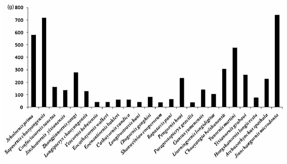中生代鸟类的体重到底有多种?