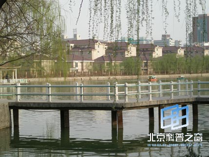 宁夏行系列之六:光明广场和中山公园