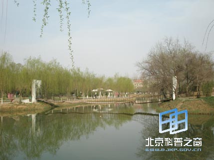 宁夏行系列之六:光明广场和中山公园