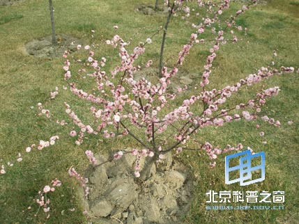 宁夏行系列之六:光明广场和中山公园