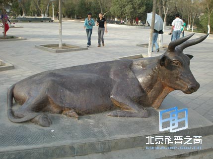 宁夏行系列之六:光明广场和中山公园