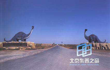 内蒙古鄂托克——恐龙足迹的故乡