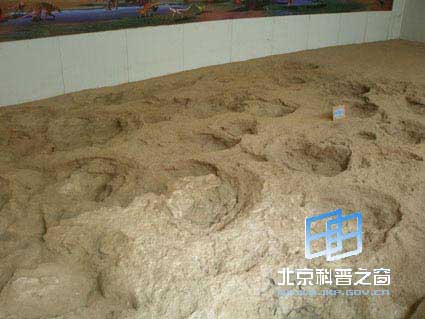 内蒙古鄂托克——恐龙足迹的故乡