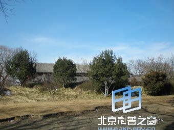 初春的北海