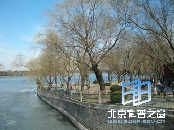 初春的北海