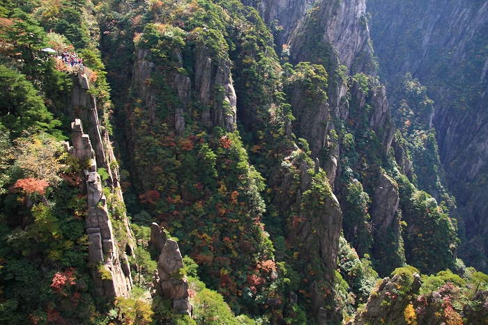 探寻最美峡谷 扑捉梦幻风情(图)