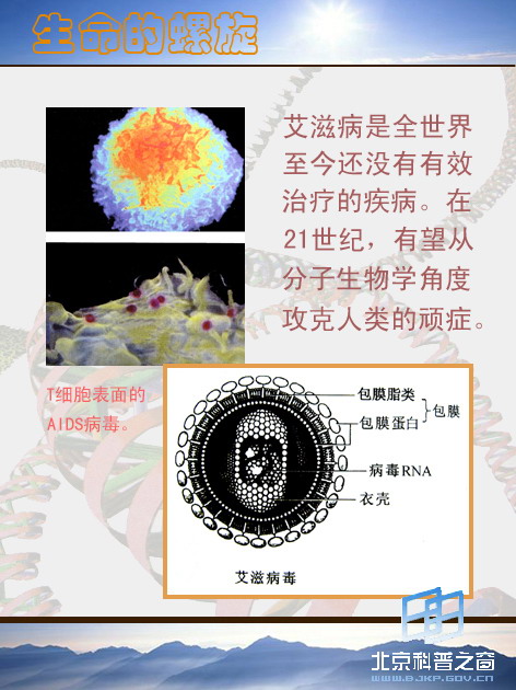 壩