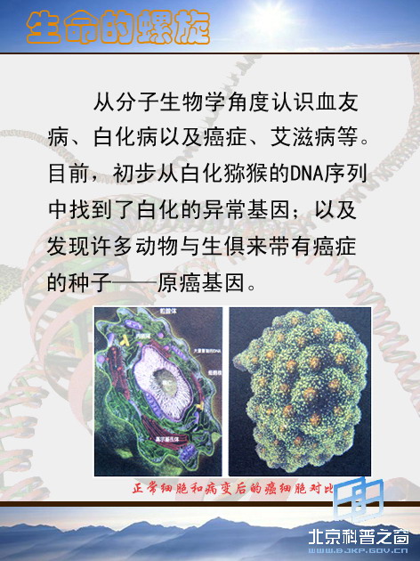 壩