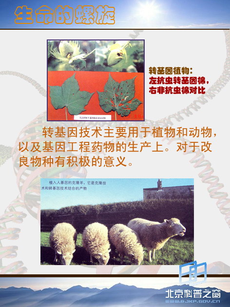 壩