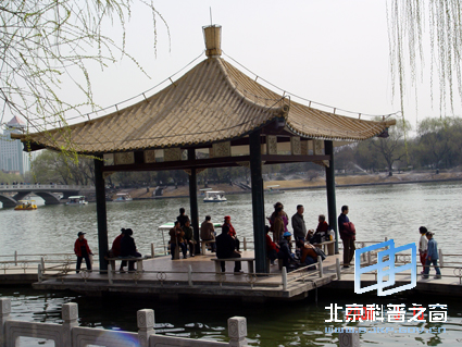 陶然春色(三)