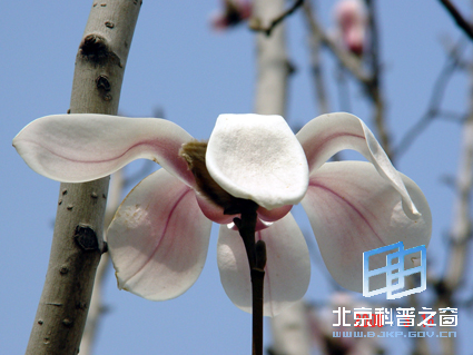 陶然春色(二)