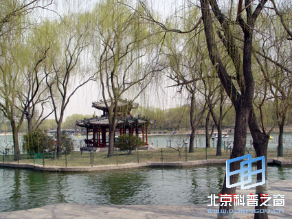 陶然春色(三)