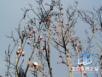陶然春色(二)