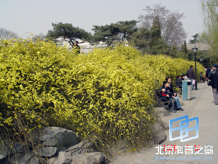 陶然春色(二)