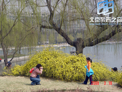 陶然春色(一)