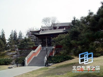 陶然春色(三)