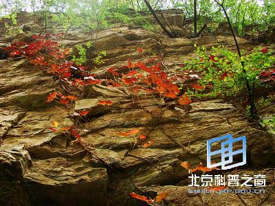 秋游百花山