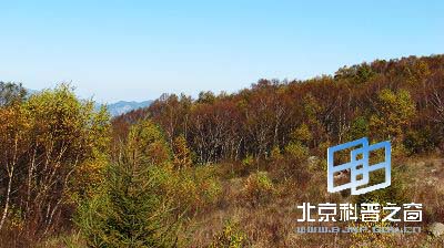 秋游百花山