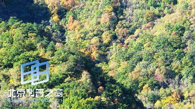 秋游百花山
