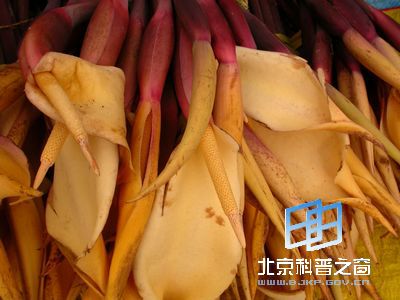与番薯齐名的芋