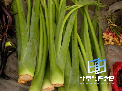 与番薯齐名的芋